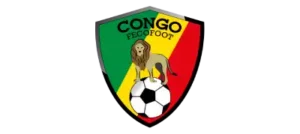 by transport entreprise de demenagement (15)